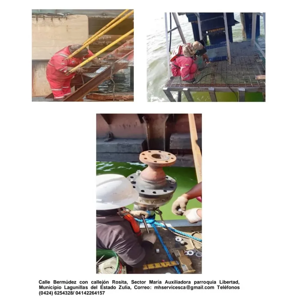 Galería de Imágenes